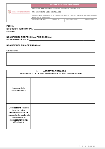 formato seguimiento profesionales estrategia recuperacion emocional individual v2