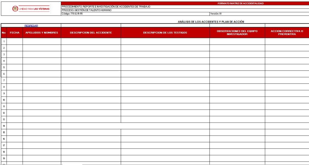 formato matriz de accidentalidad v1
