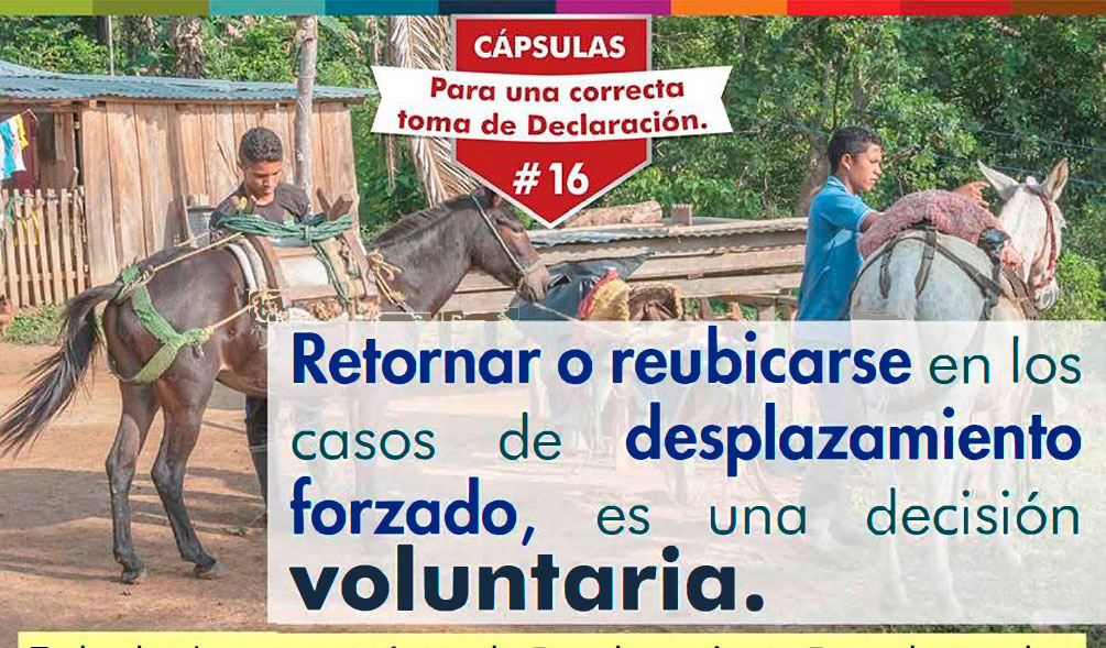 portadaboletin16capsulas
