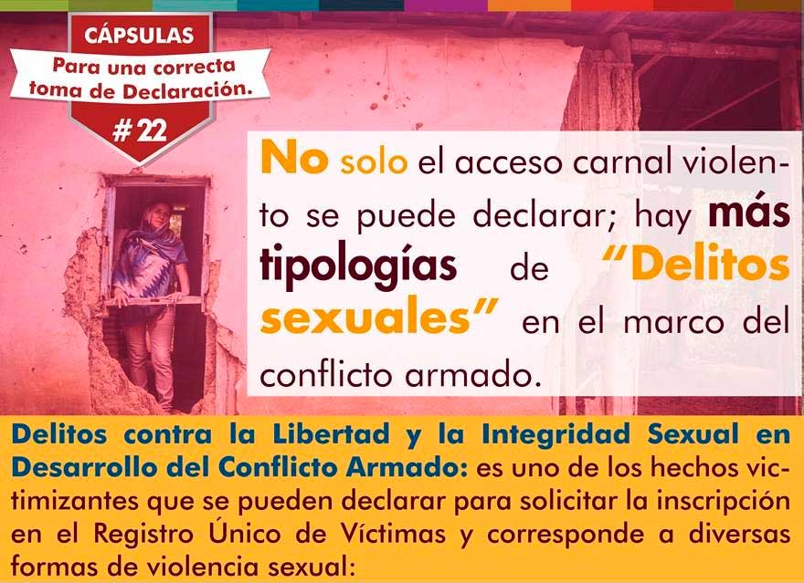 capsula22dtdelitossexuales