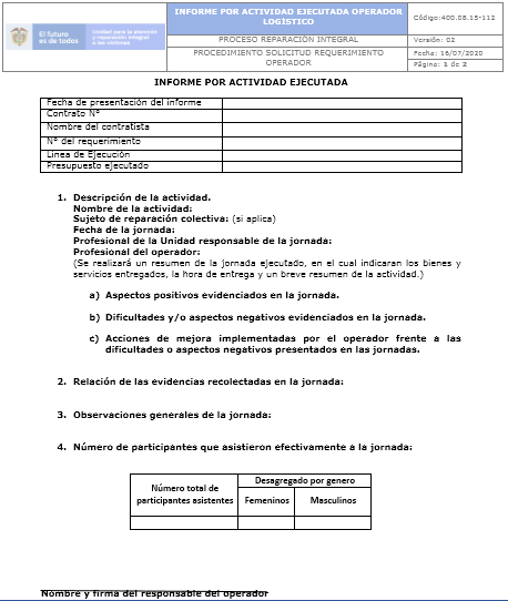 informe actividad ejecutada