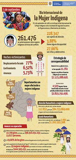 infografia mujerindigena wa