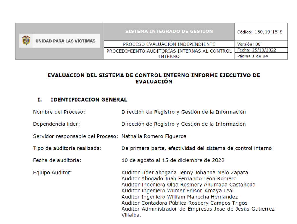 informe ejecutivo auditoria de gestion drgi 2