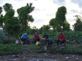 embera nota 6 0