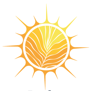 Imagen representativa de un sol y una semilla