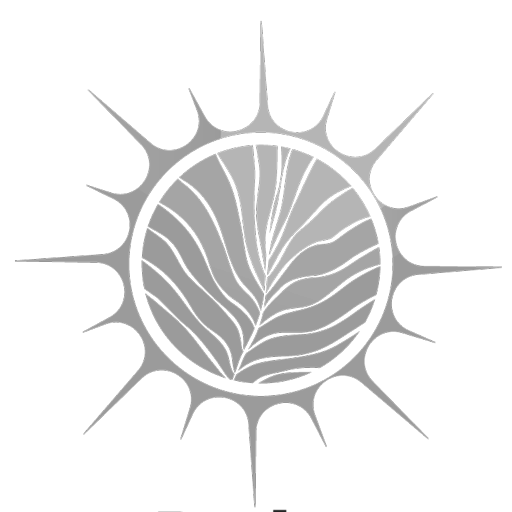 Ilustración de sol y semilla