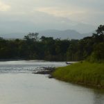 Paisaje con rio y bosque de fondo