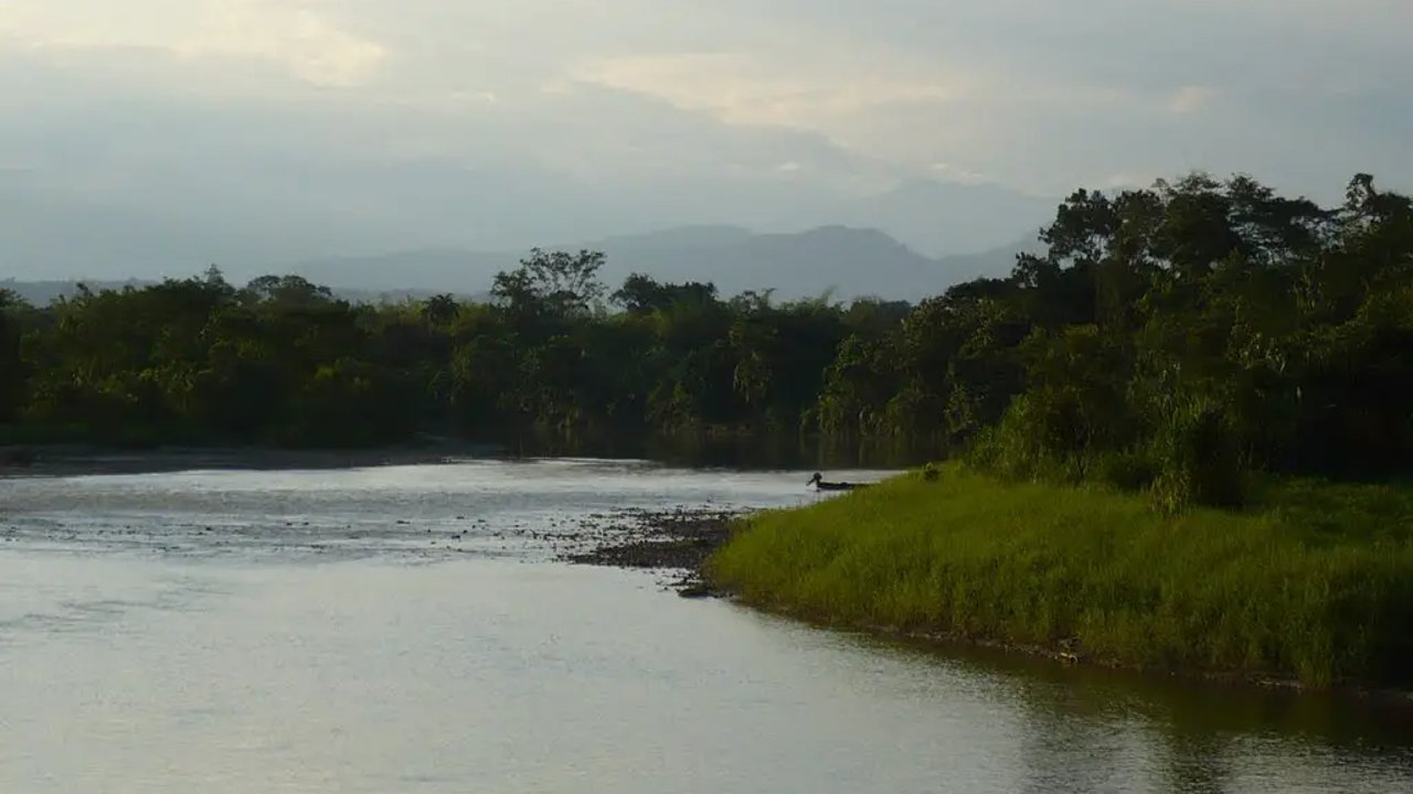 Paisaje con rio y bosque de fondo