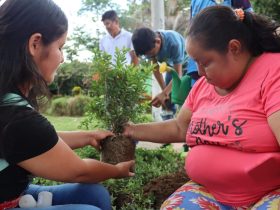 Dos mujeres siembran un árbol