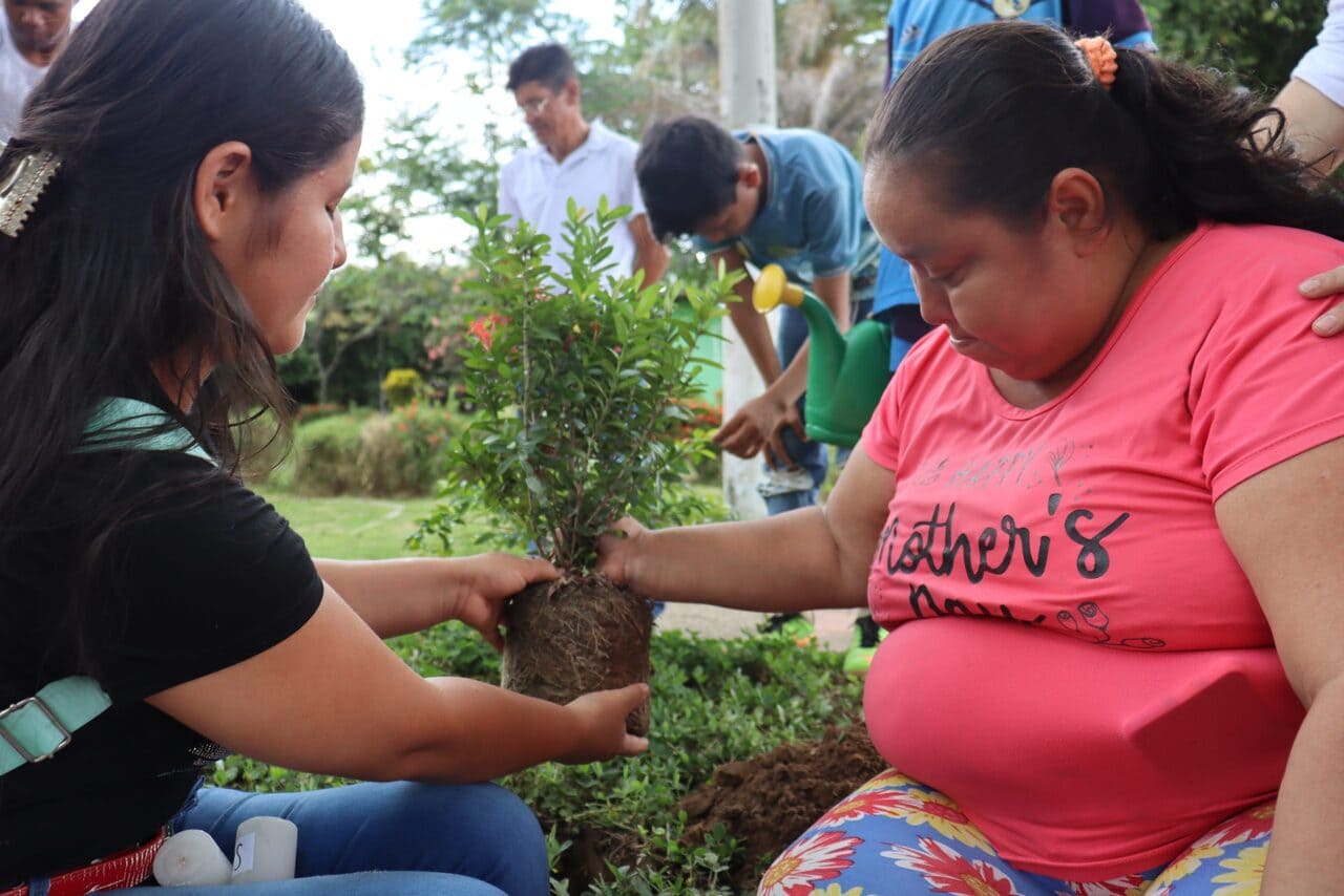 Dos mujeres siembran un árbol