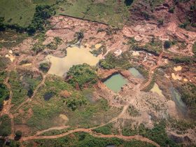 Predios del Bajo Cauca antioqueño.