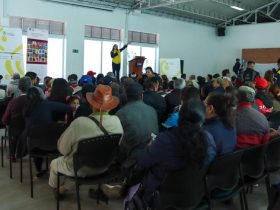 Entrega de indemnizaciones durante el mes de noviembre en Bogotá.