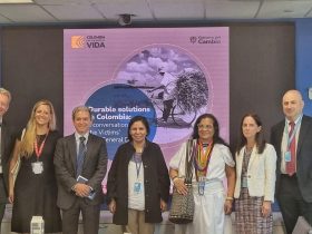 Balance de cooperación internacional durante 2023.