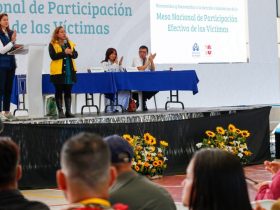 Elección Mesa Nacional de Participación Efectiva de las Víctimas.