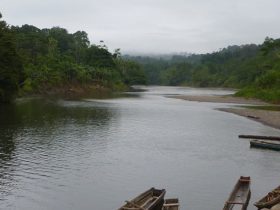 Entrega de indemnizaciones judiciales en Bojayá y Vigía del Fuerte.