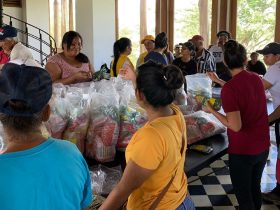 Entrega de semillas en Támesis, Córdoba.