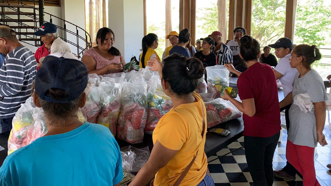 Entrega de semillas en Támesis, Córdoba.