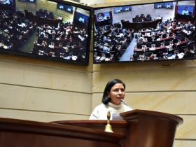 Patricia Tobón exponiendo ante el congreso la política de víctimas y paz