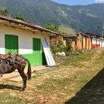 Caballo amarrado a tronco en medio de casas de El Aro