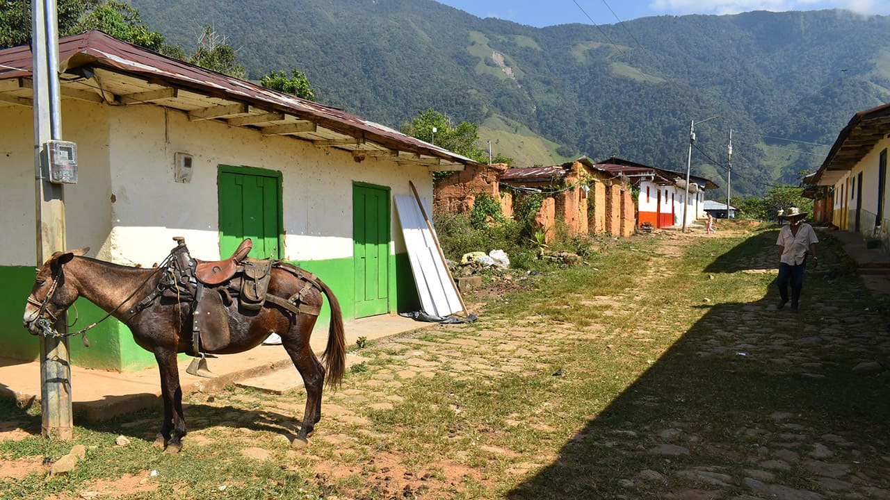 Caballo amarrado a tronco en medio de casas de El Aro