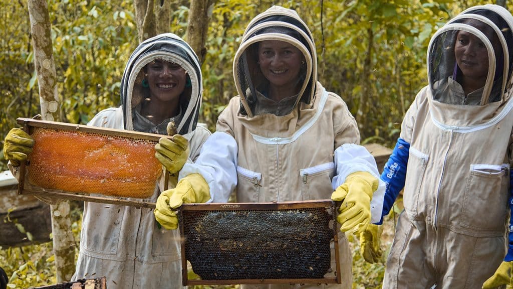 Tres mujeres con trajes de apicultor sosteniendo panel de miel de abejas