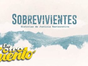 Banner decorativo Serie Sobrevivientes