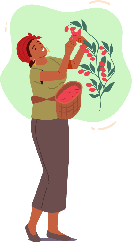 Ilustración mujer cosechando