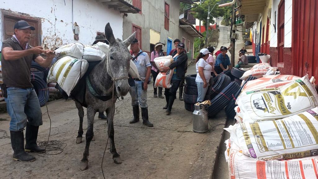 Dotación de herramientas, semillas y maquinaria para rescatar convites veredales en Caucasia